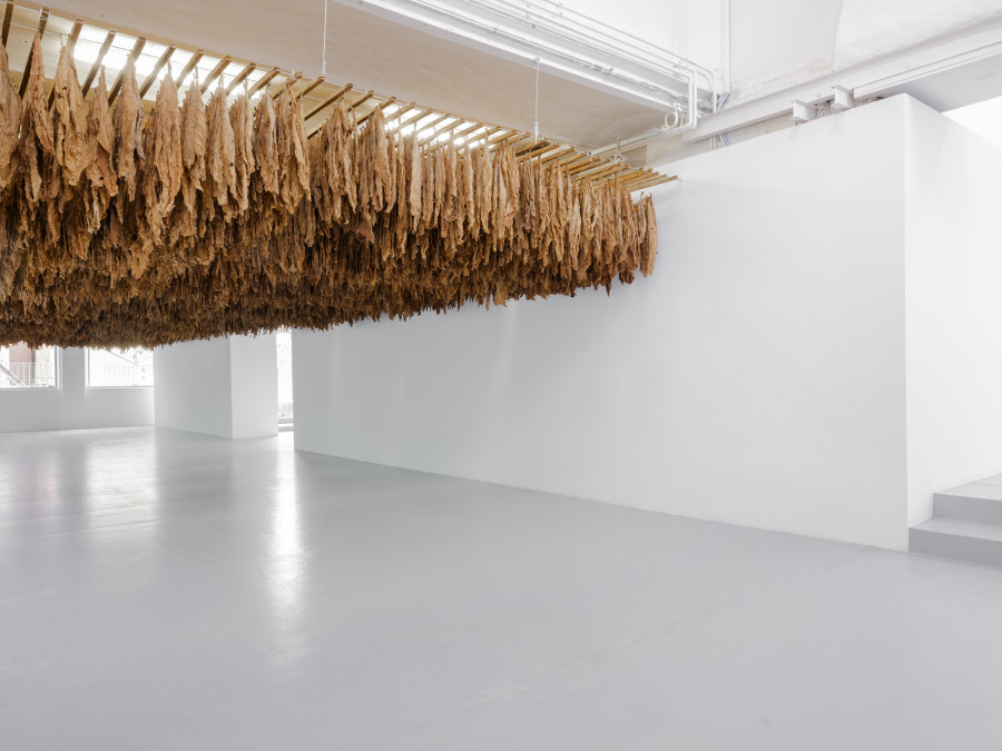 Ximena Garrido-Lecca, Reverse Engineering, Installation view, 2023, CAN Centre d’Art Neuchâtel.
Photo credit: Sebastian Verdon