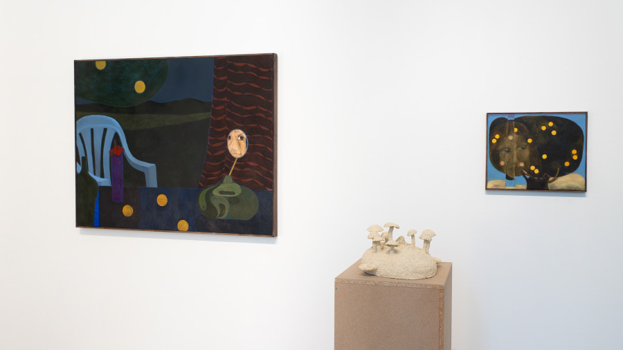 Exhibition view, Mon corps est un paysage, Elias Njima & Jean-Christophe Norman, Galerie C, 2024. © Galerie C