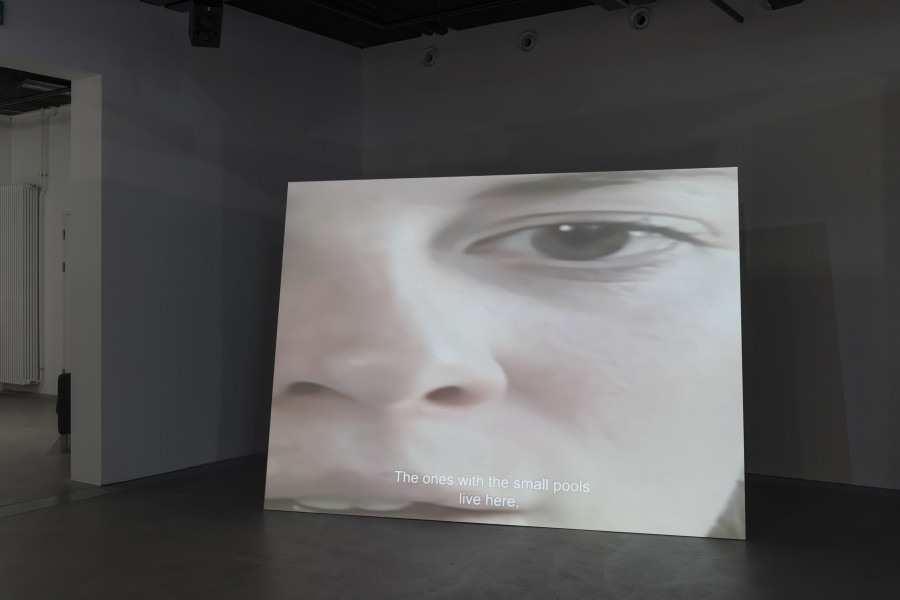 Johanna Müller, Lost in Hidden Hills, 2024, Exhibition view «UBERMORGEN, Johanna Müller, Giulia Essyad. Swiss Media Art – Pax Art Awards 2023», 2024, HEK, photo: Franz Wamhof