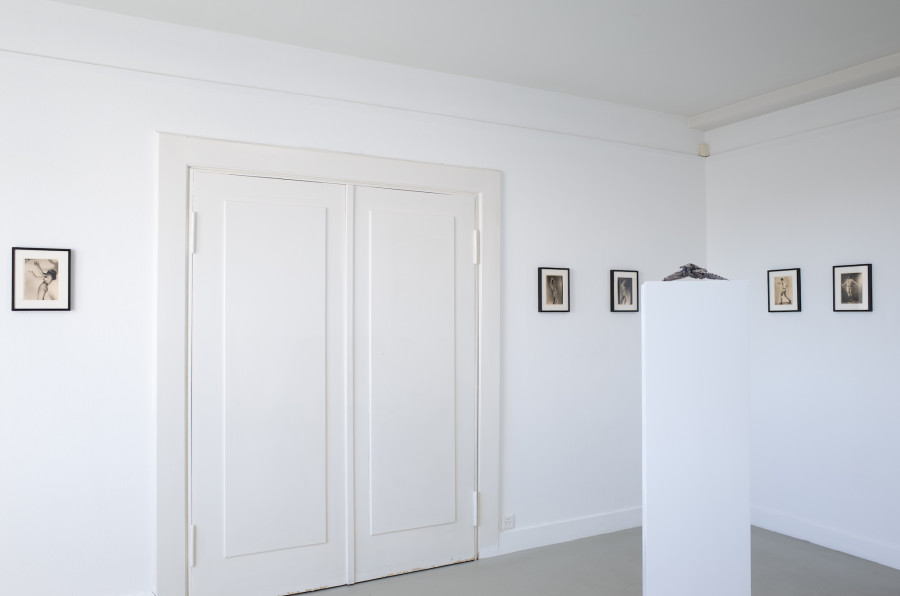 Iouri Podladtchikov & Elio Luxardo: You're Probably Right,Exhibition view, 2023, The Lighthouse, Photo credit: Iouri Podladtchikov.