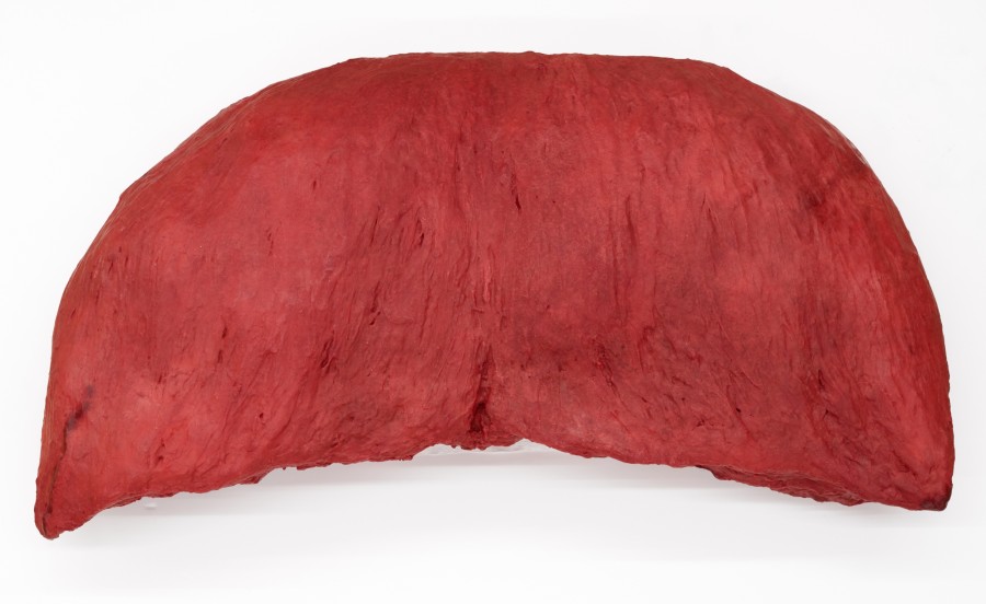 Nietzsches Schnauz, Not Vital, 2017, Wachs, HxBxT: 70 x 140 x 40 cm, Inv. G 2017.6, Creditline: Kunstmuseum Basel- Ankauf mit Mitteln der Karl und Margrith Schaub-Tschudin-Stiftung, Photo Credit: Kunstmuseum Basel Martin P. Bühler