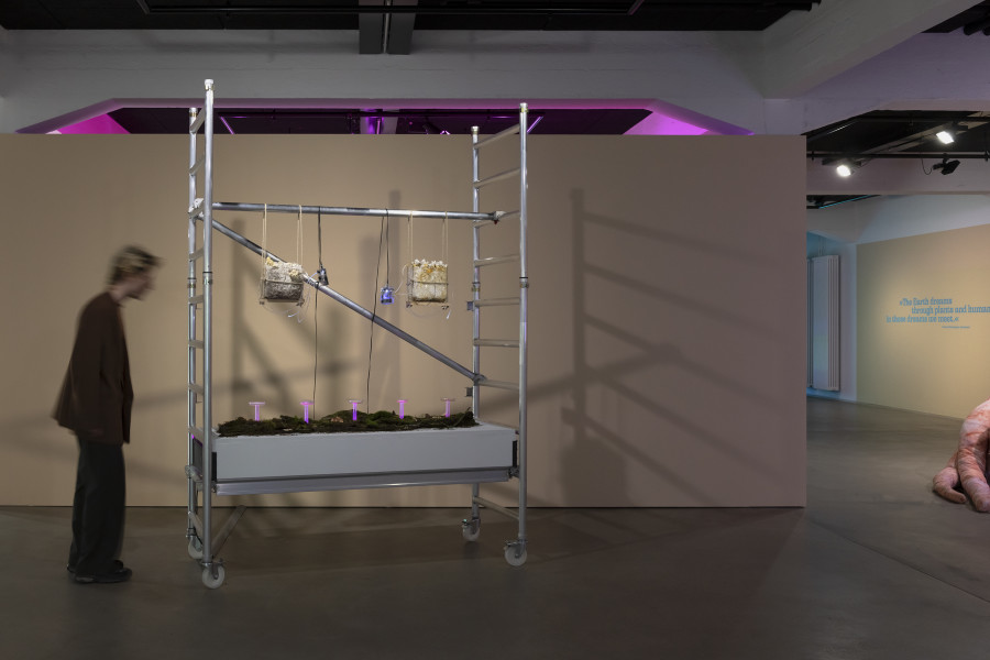 Susanne Hartmann, Experiments III, 2025, «Other Intelligences», 2025, HEK, photo: Franz Wamhof