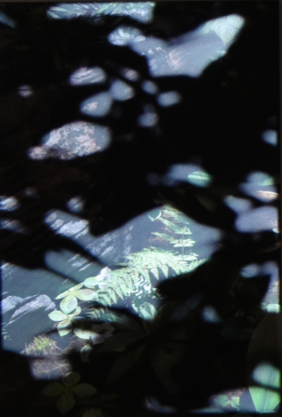 Timur Si-Qin, Sharaan Sunbreak East, 2023 (detail). Courtesy Timur Si-Qin and Société, Berlin