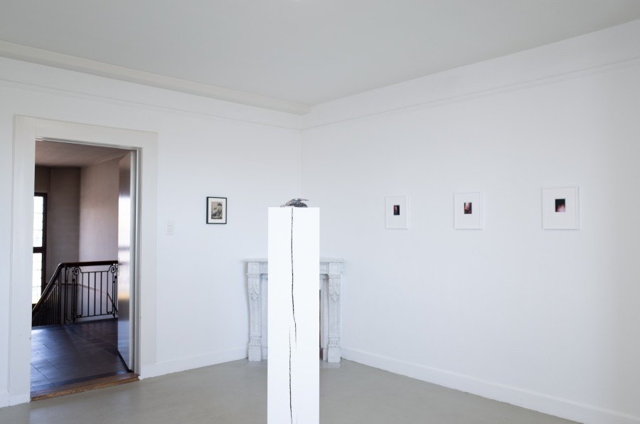 Iouri Podladtchikov & Elio Luxardo: You're Probably Right,Exhibition view, 2023, The Lighthouse, Photo credit: Iouri Podladtchikov.