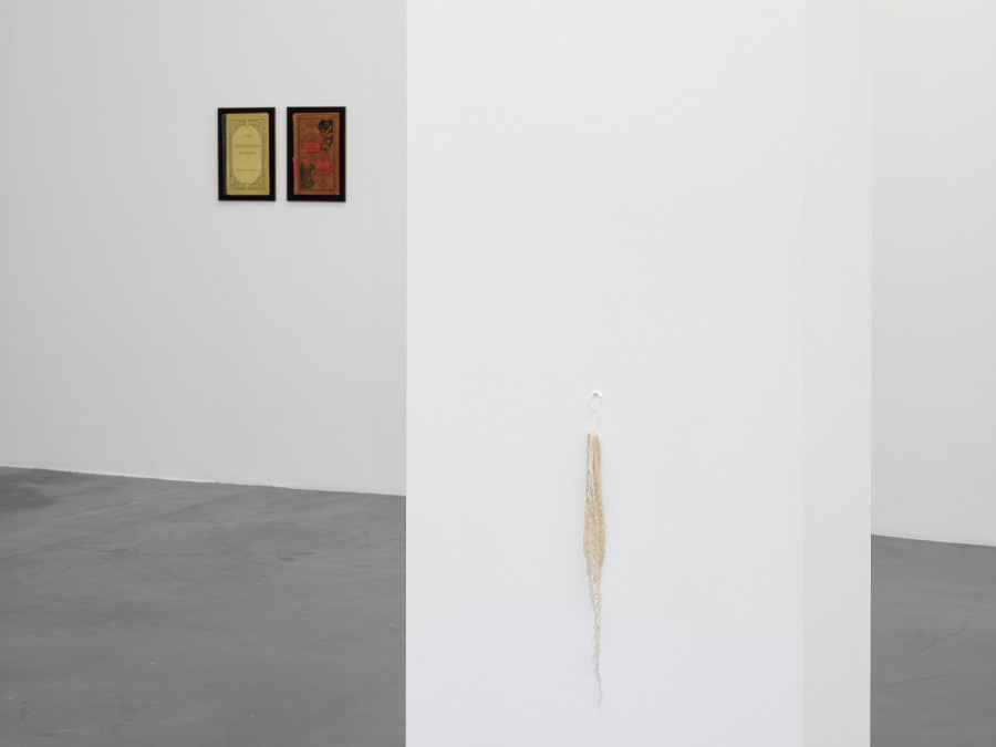 Installation view, Dietrich, curated by Anne Pontégnie, Galerie Francesca Pia, Zurich, 2024. Photo: Cedric Mussano