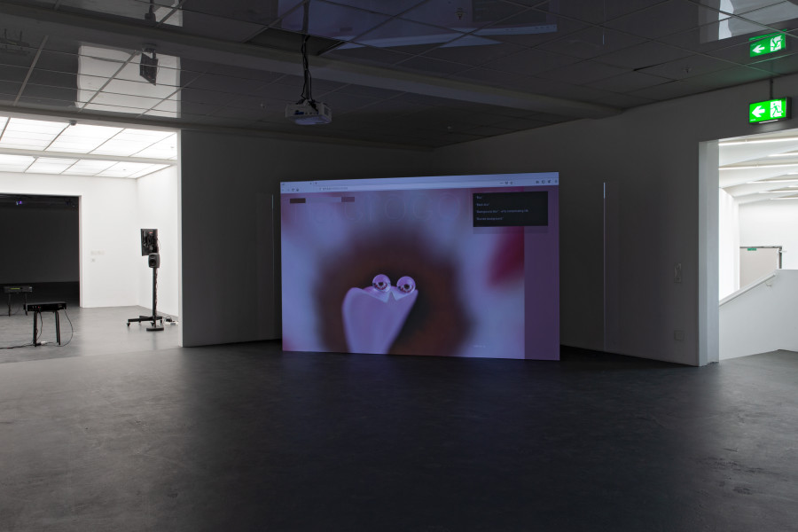 Stefan Karrer, oO, 2020. Courtesy the artist. Installation view Kunsthaus Baselland 2020. Photo: Gina Folly