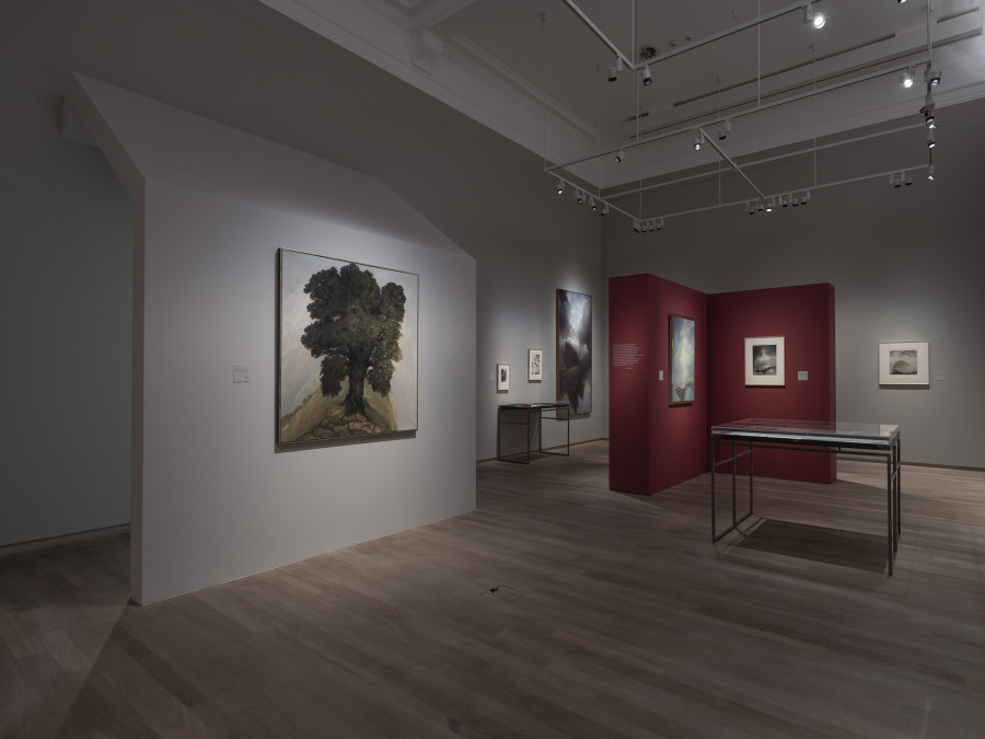 Exhibition view, Pietro Sarto, Chemins détournés, Musée Jenisch Vevey, 2022. Photo credit: © Photo Julien Gremaud