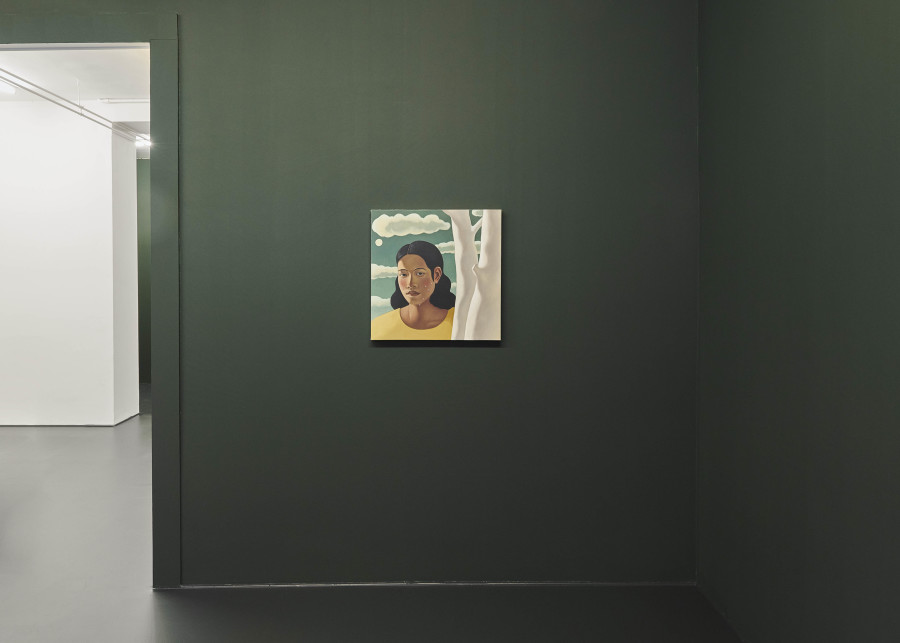Tang Shuo: Shadows of Boulder Hill, Installation view, 2023, Fabienne Levy, Photo: @substancemat