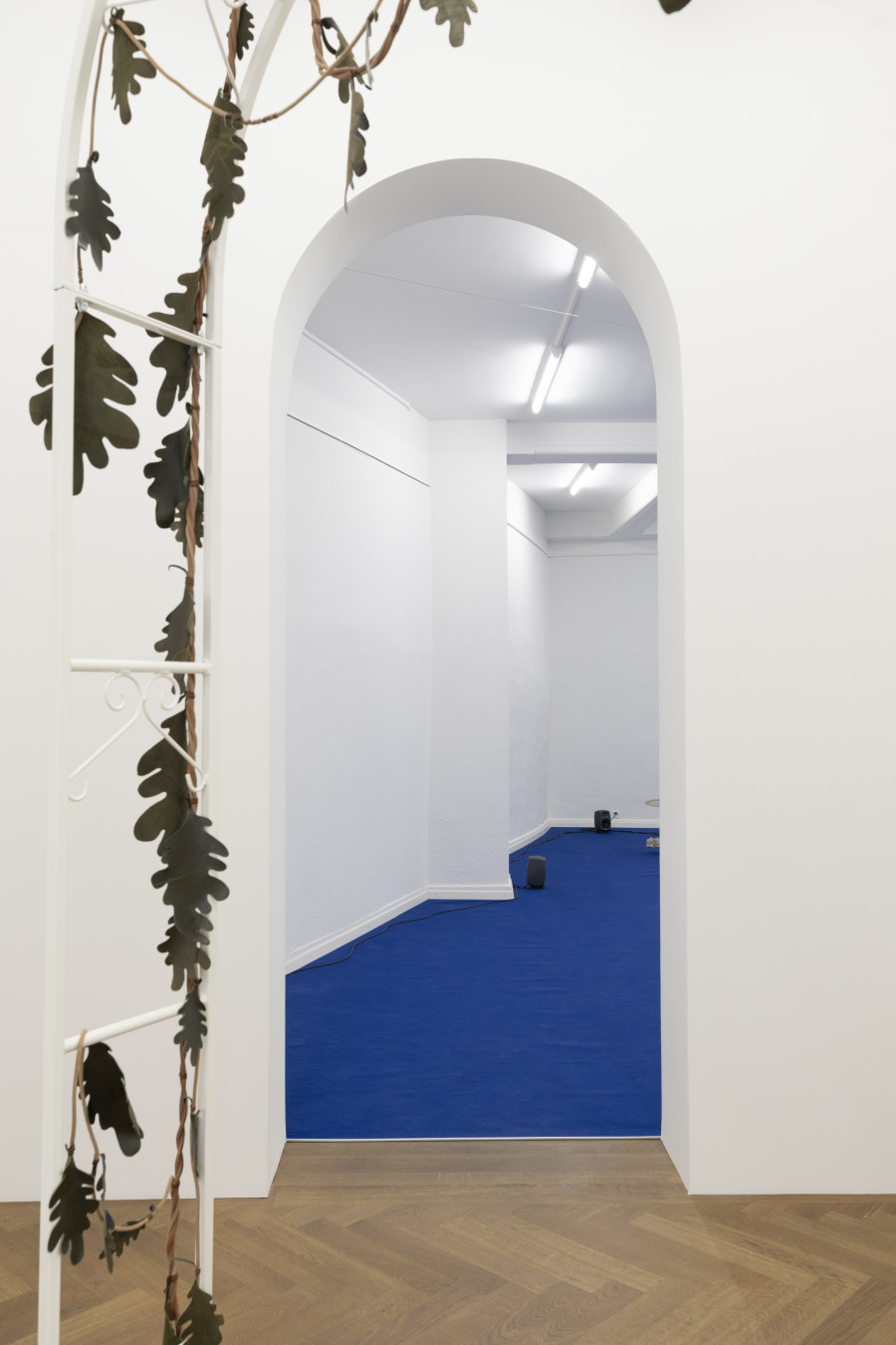 Installation view, FIRST IMPRESSIONS, KRONE COURONNE, 2024. Photo credit: © Michal Florence Schorro