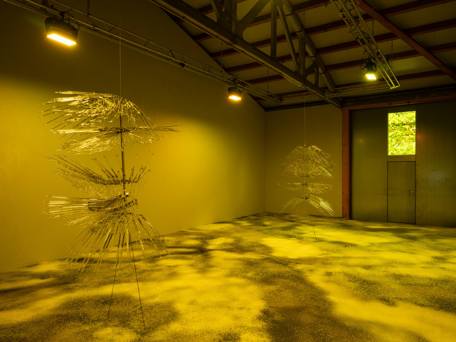 Exhibition View Duo Show Pauline Cordier & Rahel Oberhummer « Ce qui nous échappe » at Espace ContreContre, Saint-Maurice, 2026 / Photo: ©Etienne Malapert / Courtesy: The artists & EspaceContreContre. Silencieusement, Yellow filter, lighting system, Site-specific installation: 650 × 1350 × 600 cm, 2026