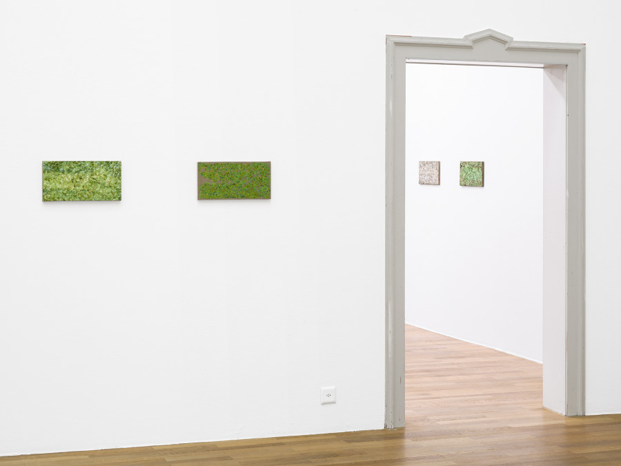 Vera Palme, Diversion, Kunsthalle Winterthur, 2025. Photo: Cedric Mussano. Courtesy of Kunsthalle Winterthur.