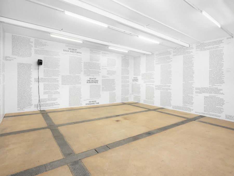 Exhibition view of Do You Know Snow? by Daniel Caux & Michael Snow at Centre d’Art Contemporain Genève (01.11.2023‒07.01.2024). © Centre d’Art Contemporain Genève. Photo: Julien Gremaud