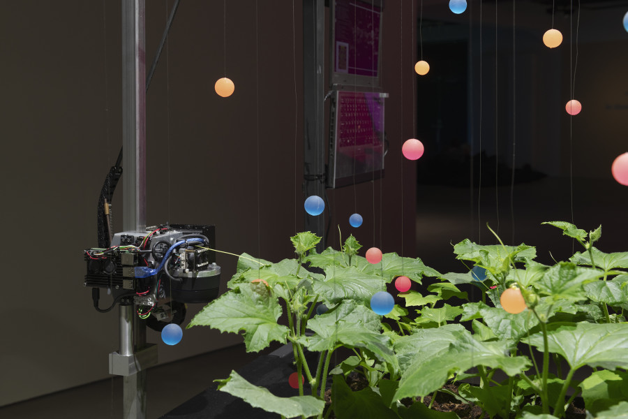 Špela Petrič, PL’AI, 2020, «Other Intelligences», 2025, HEK, photo: Franz Wamhof
