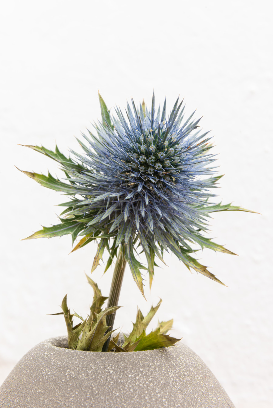 SBANDARE with Adrien Chevalley, Margherita Raso, Noemi Pfister and Marco Rigoni, Exhibition view, 2023, Sonnenstube Offspace, Curated by Giada Olivotto.