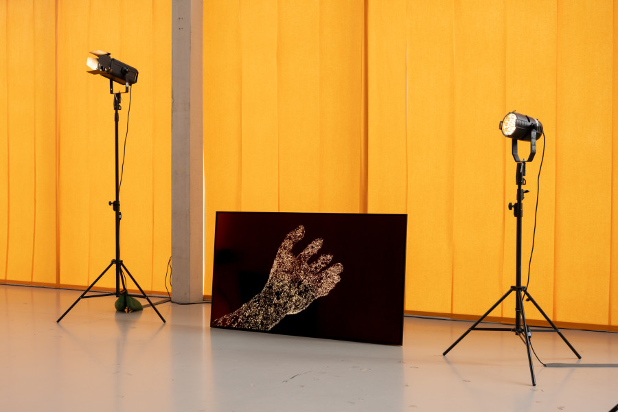 Derek Tumala, Fire Ants, 2025, Installation view Eyes Melted Gold. Natunaw na ginto ang mga mata, der TANK, Institute Art Gender Nature HGK Basel FHNW, 2025, photo: Finn Curry