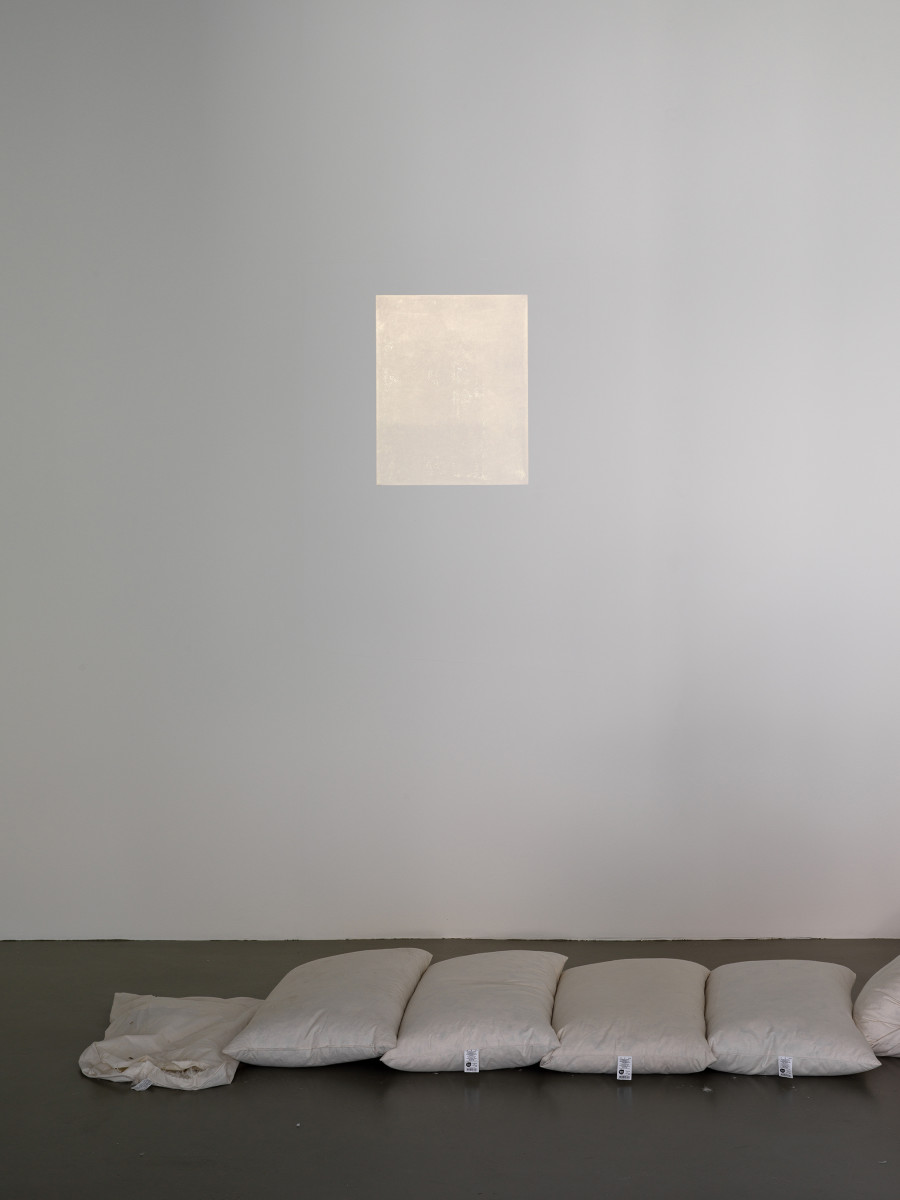 Jason Dodge, installation view, Kunsthalle Friart Fribourg, 2026. Photo: Cedric Mussano