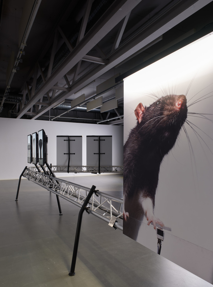 Installation view, Automated Photography, Galerie l’elac, 2022. Image: © ECAL/Florian Amoser.