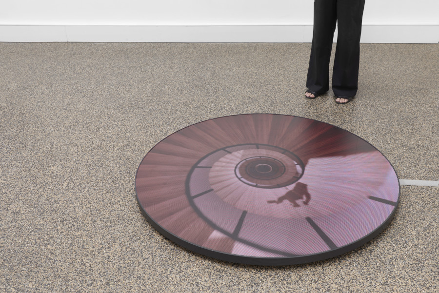 Exhibition view, Rafael Lozano-Hemmer, EXCUSE YOU!, Wilde, 2022. Photo: Philipp Hänger