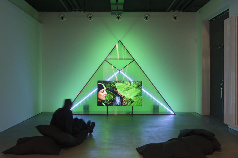 Patricia Domínguez, Matrix vegetal, 2021–2022, «Other Intelligences», 2025, HEK, photo: Franz Wamhof