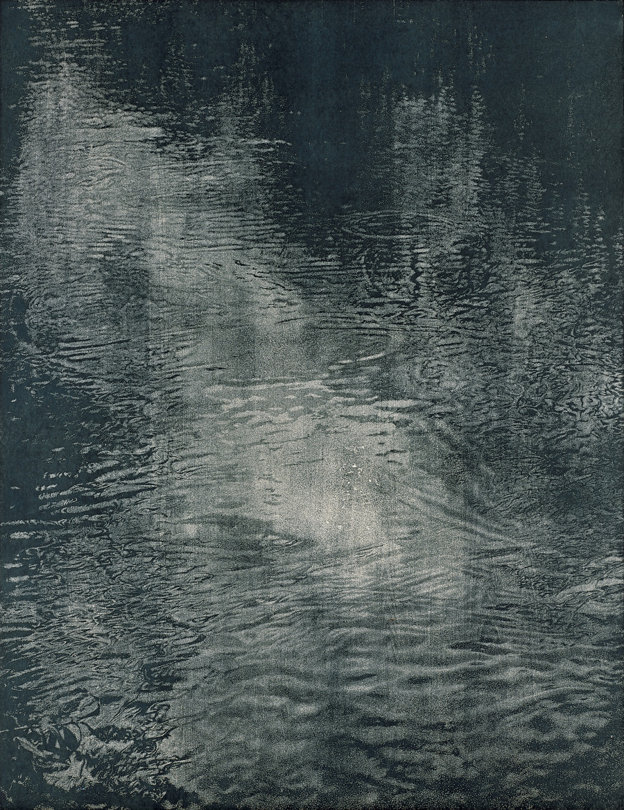 Franz Gertsch, Schwarzwasser I, 1990/91. Woodcut, 234 x 181 cm. Woodcut 18/20 on Kumohadamashi Japanese paper by Heizaburo Iwano, 276 x 217 cm, Indigo. Museum Franz Gertsch, Burgdorf © Franz Gertsch