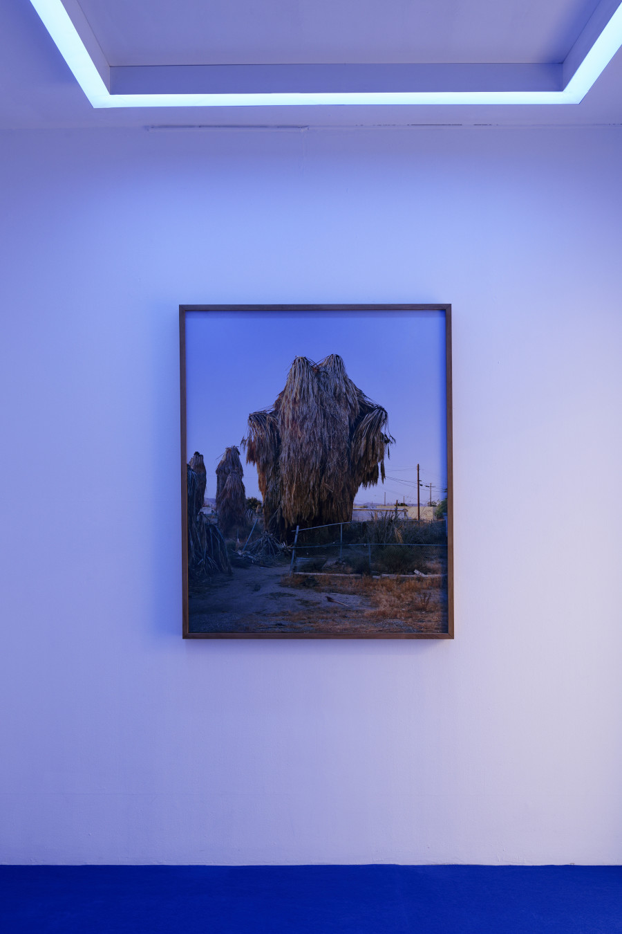 Exhibition view, Florent Meng Lechevallier, The Analogue Tracks, Villa du Parc, 2024. Photo credit: Aurélien Mole