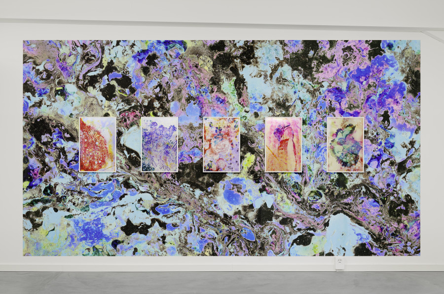 Installation view, Gardens of Dreams, Edition VFO, 2025. Photography by Bernhard Strauss