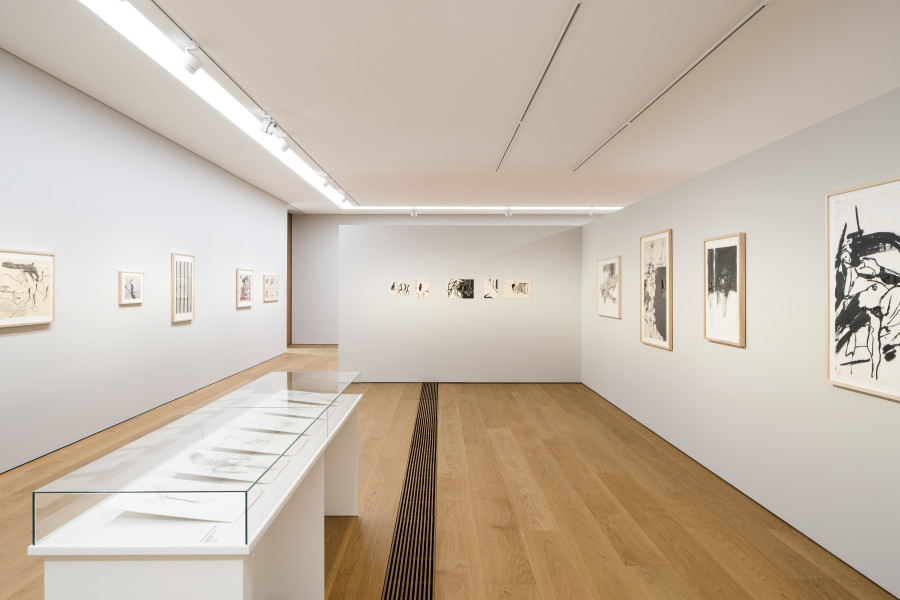 Exhibition view, Naissance et vie des formes, Dessins contemporains de la collection, MCBA Lausanne, 2022.