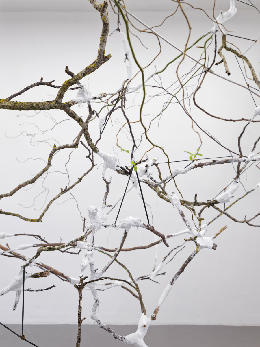 Exhibition view, Jan Kopp, Sous le silence, Villa du Parc, 2025. Photo credit: Aurélien Mole
