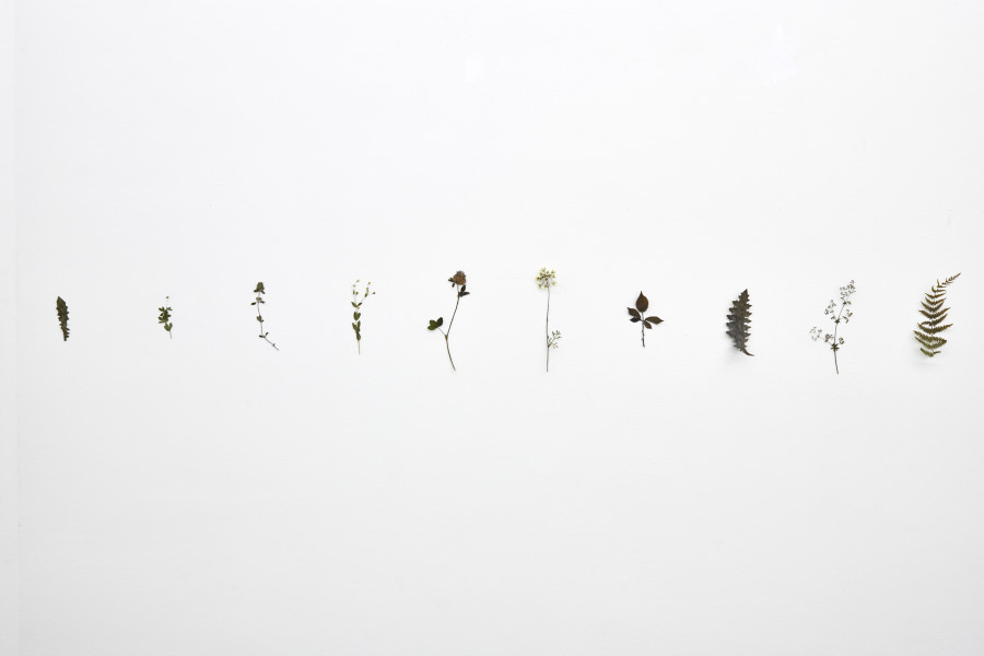 Installation view, Cuore Mangiato, Guscio di Fiore, Fattucchiere, Kulturfolger, 2023-2024. Photo: Anna Maysuk