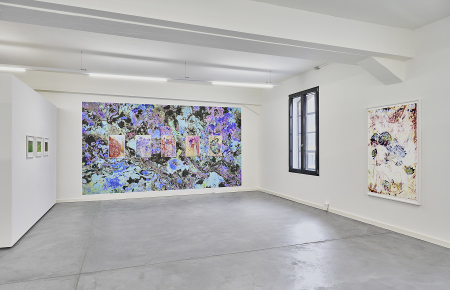 Installation view, Gardens of Dreams, Edition VFO, 2025. Photography by Bernhard Strauss