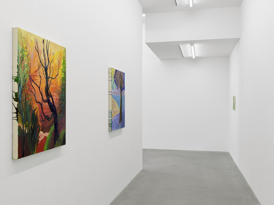 Installation view, Shara Hughes, Tree Farm, Galerie Eva Presenhuber, Waldmannstrasse, Zurich, 2024. © Shara Hughes. Courtesy the artist and Galerie Eva Presenhuber, Zurich / Vienna. Photo: Stefan Altenburger Photography, Zürich