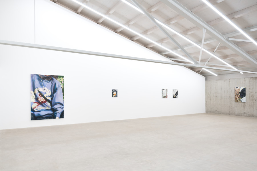 Mireille Blanc, Mountain, 2022. Courtesy of the artist and Galerie Anne-Sarah Bénichou. Mireille Blanc, Photo, 2023; Rouleau, 2022; Studio, 2022. Courtesy of the artist and THE PILL ®. Mireille Blanc, Motifs, 2020. Courtesy of the artist and Galerie Anne-Sarah Bénichou. Installation view Kunsthaus Baselland 2026. © 2026, ProLitteris, Zurich. Photo: Finn Curry / Kunsthaus Baselland