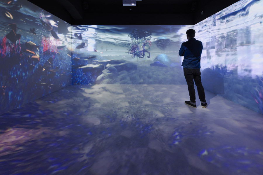 Libby Heaney, Ent-, 2022, «Libby Heaney: Quantum Soup», 2024, HEK, photo: Franz Wamhof