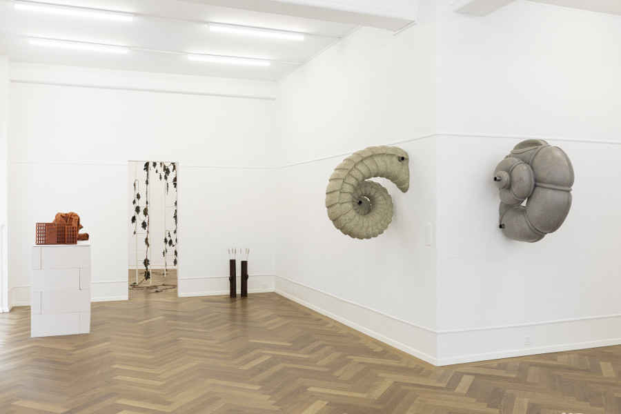 Installation view, FIRST IMPRESSIONS, KRONE COURONNE, 2024. Photo credit: © Michal Florence Schorro