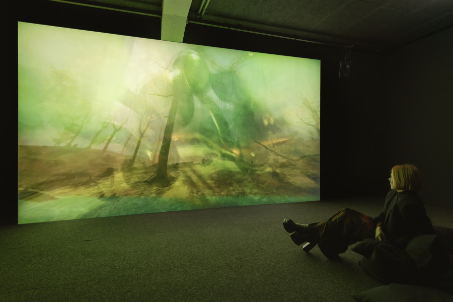 Libby Heaney, Q is Climate (?), 2023 «Libby Heaney: Quantum Soup», 2024, HEK, photo: Franz Wamhof