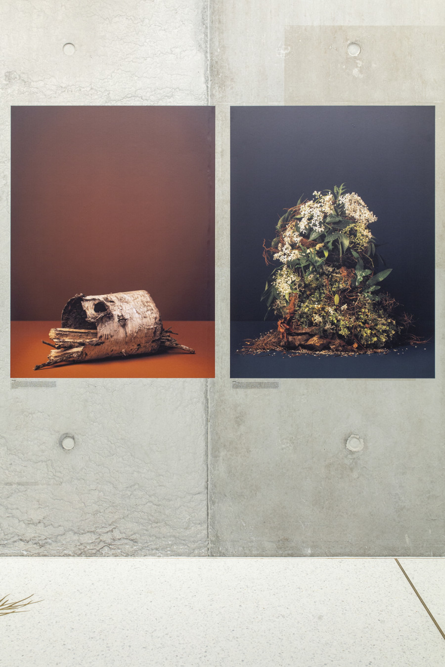 Installation view, Ann Shelton, I am an old phenomenon, Centre de la photographie Genève, 2025. Photo credit: Aline Bovard Rudaz