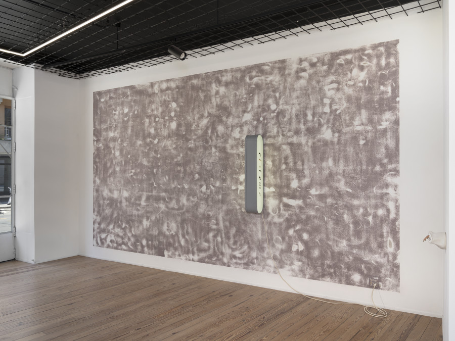 Exhibition view, Gina Proenza, Patron / Partner, galerie lange + pult, Geneva, 2026. Photo credit: © Julien Gremaud