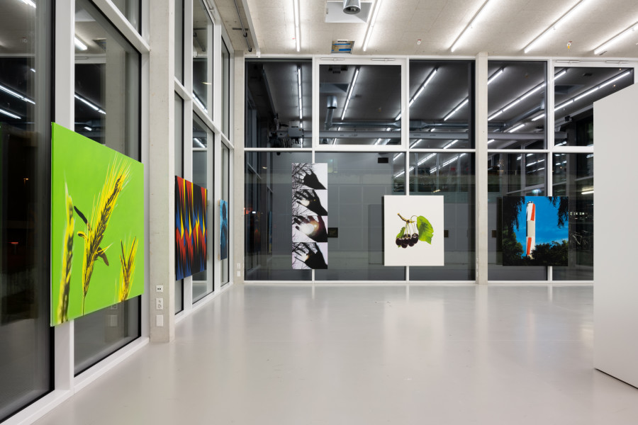 Installation view Diogo Pinto Cherrypickers, der TANK, Institute Art Gender Nature HGK Basel FHNW, Basel, 2024, photo: Finn Curry