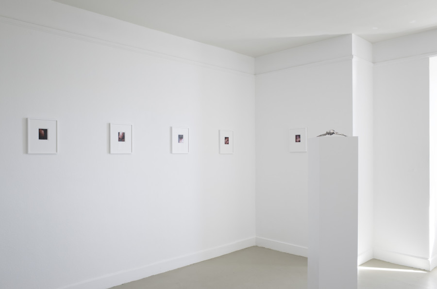 Iouri Podladtchikov & Elio Luxardo: You're Probably Right,Exhibition view, 2023, The Lighthouse, Photo credit: Iouri Podladtchikov.
