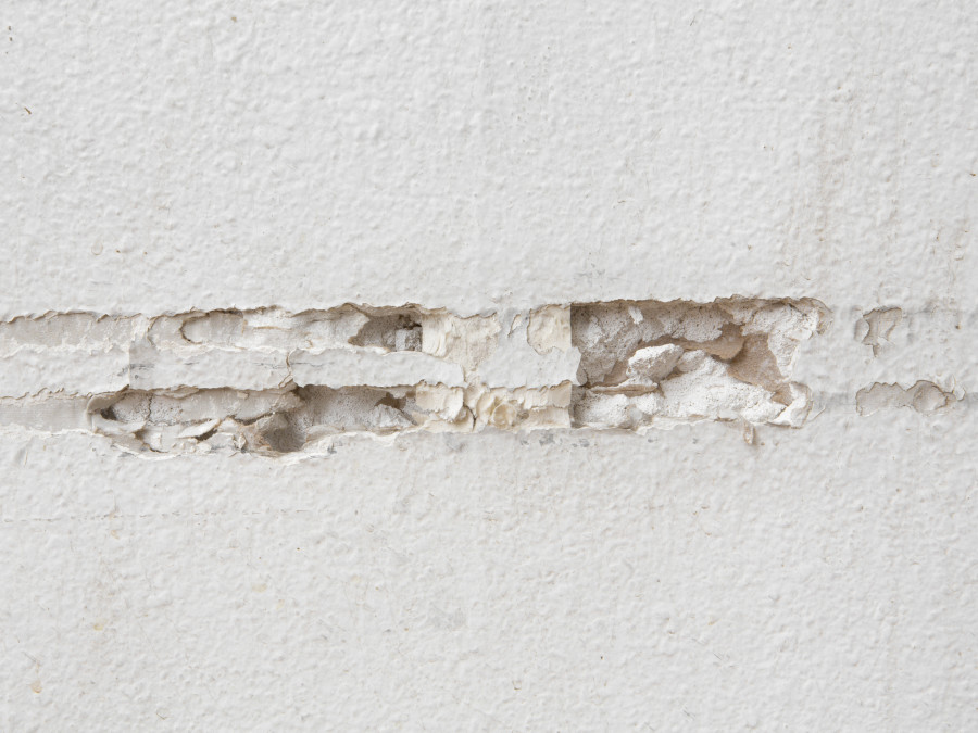Exhibition view, Emily Barker, Wall Works, Sentiment, 2023. Photo credit: Philipp Rupp / Julien Gremaud. Courtesy of the artist and Sentiment