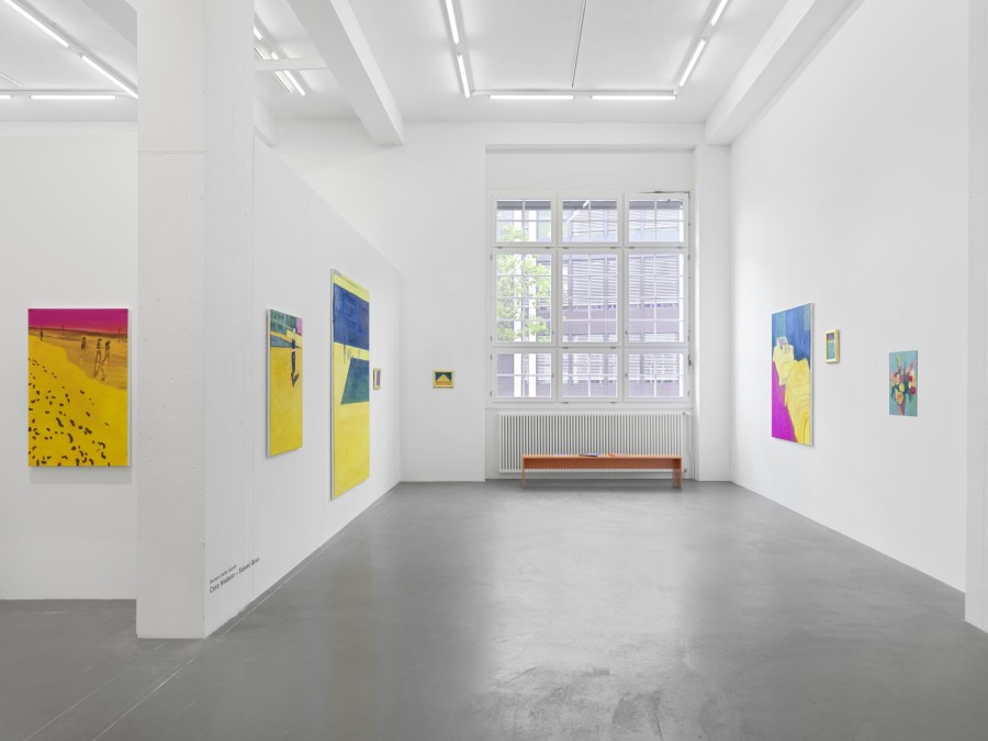 Installation view of Caro Niederer, Slowed down, Barbara Seiler.