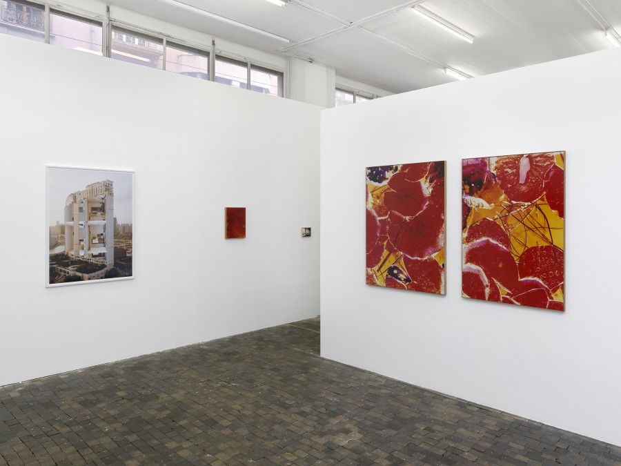 Installation view, MAKING LIGHT OF EVERY THING, Centre de la photographie Genève, 2024. Photo credit: Annick Wetter