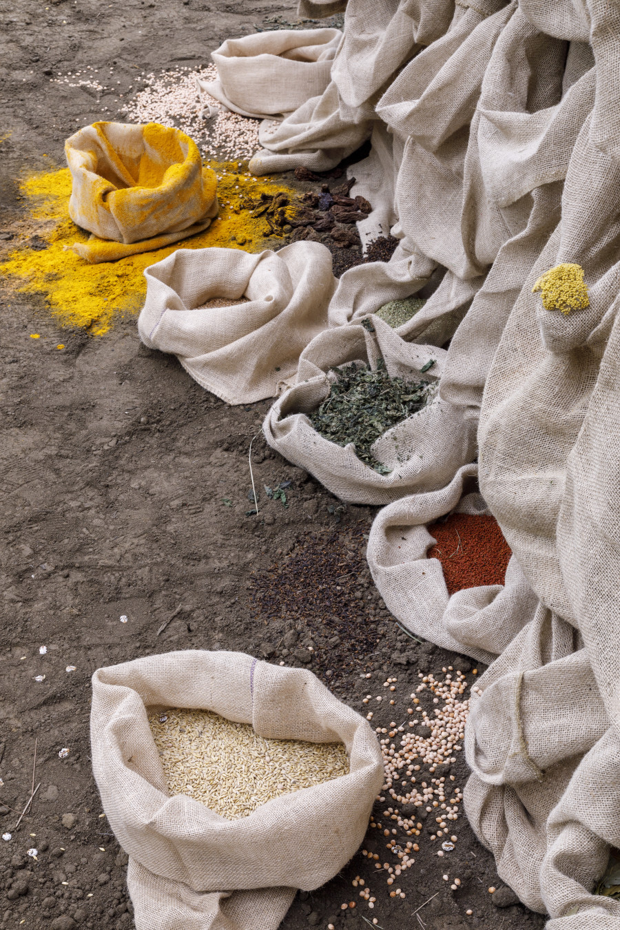 Solange Pessoa, Bags – Bregenz version, 1994–2023, Detail view first floor Kunsthaus Bregenz, 2023. Photo: Markus Tretter. Courtesy of the artist, Mendes Wood DM. © Solange Pessoa, Kunsthaus Bregenz