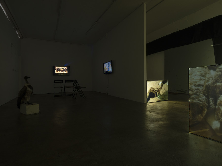 Installation view, Roman Selim Khereddine, Hard-Won Images 2, Tunnel Tunnel, 2022. Photo: Julien Gremaud