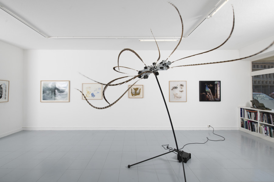 Installation view, INTO THE WILD, Wilde, 2022. Photo: Grég Clement