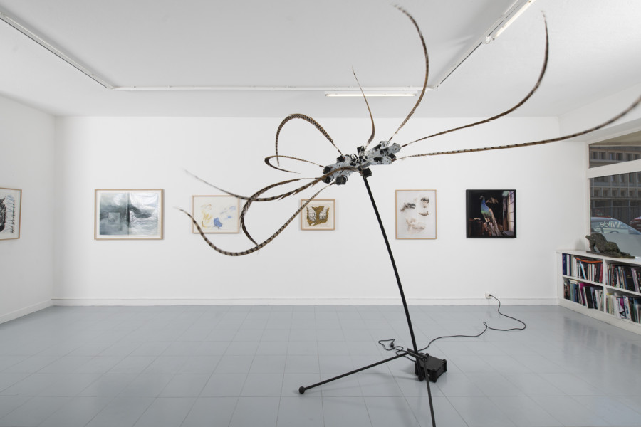 Installation view, INTO THE WILD, Wilde, 2022. Photo: Grég Clement