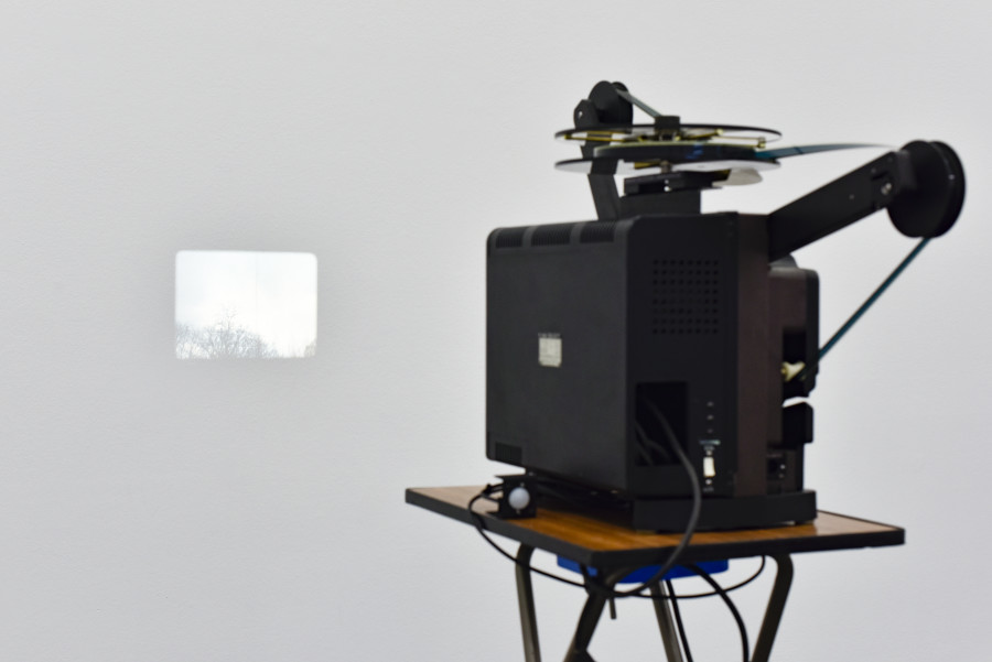Gernot Wieland, Square, Circle, Square, 2020. Courtesy: the artist. Photo: Kunst Halle Sankt Gallen, Sebastian Schaub