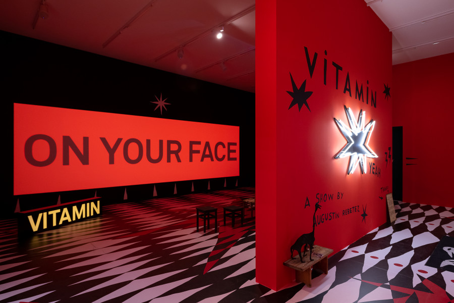 lnstallationsansicht Augustin Rebetez. Vitamin, 18.2. - 29.5.2023, Aargauer Kunsthaus, Aarau, Augustin Rebetez, Vitamin, 2022, mit Niklas Blomberg (Stimme), Vitamin, 2023, Star, 2023. Foto: ullmann.photography