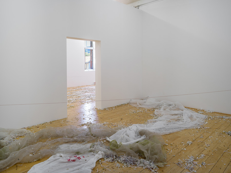 Jason Dodge, installation view, Kunsthalle Friart Fribourg, 2026. Photo: Cedric Mussano