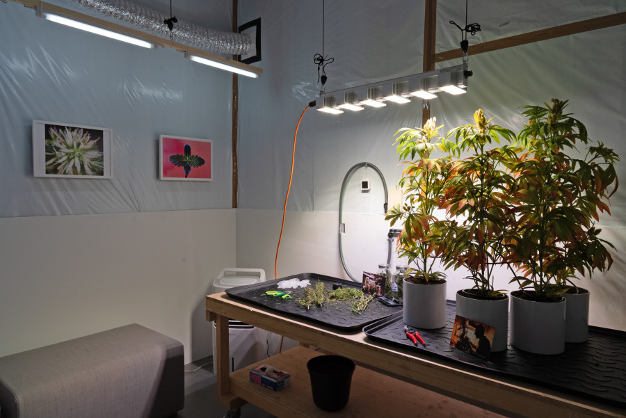 Exhibition view Interdependencies: Perspectives on Care and Resilience, Carmen and Antonio Papalia, Tripping Hazard (Field Studio 1), 2023, Installation, various materials. Courtesy the artist; Commissioned by Migros Museum für Gegenwartskunst. Photo: Studio Stucky